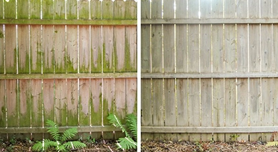 Wooden backyard fence section showing brightened rejuvenated boards beside darker weathered boards