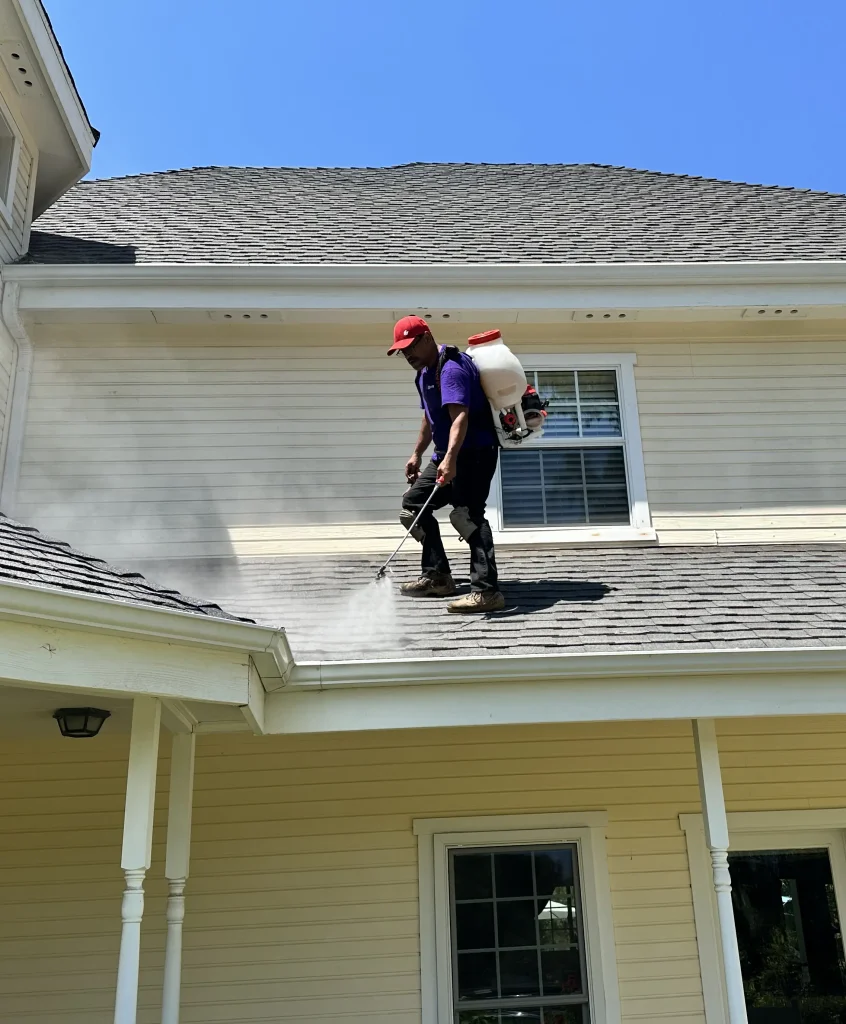 Closeup of weathered shingles darkening as rejuvenation spray is evenly applied